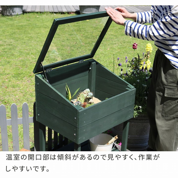 植物用ラック 木製 窓付 ミニグリーンハウス 温室 「OWN」（オウン