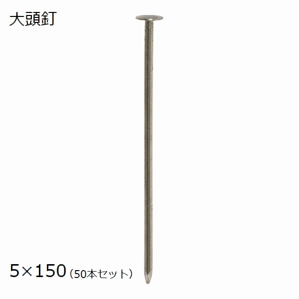 ���𥷡��� ����ԥ� ��Ƭţ [50�ܥ��å�] 5��150 Ĺ����15cm