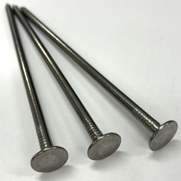 ���𥷡��� ����ԥ� ��Ƭţ [50�ܥ��å�] 5��150 Ĺ����15cm