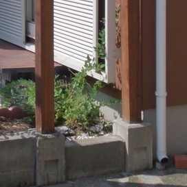 ե󥹥֥åʾ 70 (12.0kg) 