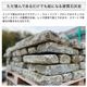  ɻ ŷ 饦ǥ󥰡֥å ʿʬ (250kg) -ٲ