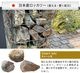  ䷪ 㡼 (50250mm) 20kg ܻ ŷ -ٲ