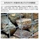  ䷪ 㡼 (50250mm) 20kg ܻ ŷ -ٲ