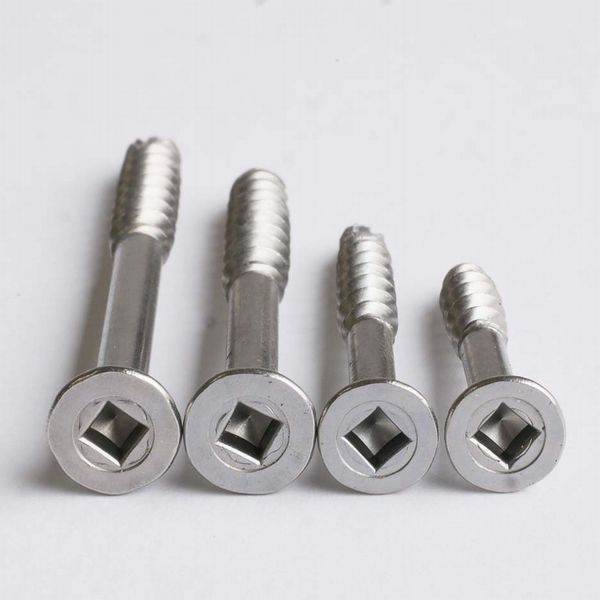 �ڥӥ� �ե쥭 5.5��65 (100������) ����С� �ͳѷ� e7810 SUS410 