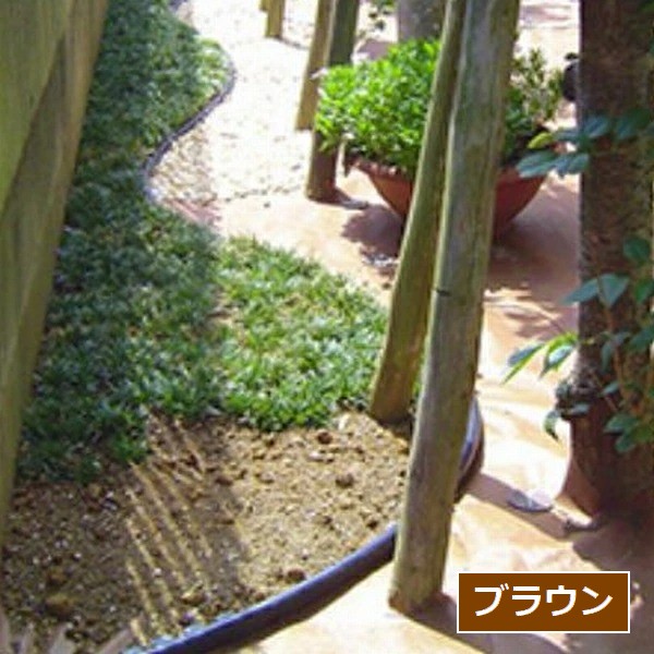 ���ں� �⤵35mm��2m��3�祻�å� �֥饦�� [�Ϥ���ˡ�͸���] Q������ �ץ饨�å�35 ���𥷡��ȡ��͹��Ǹ��ڤ� ��