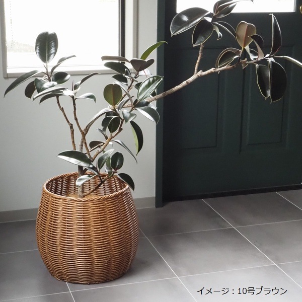 �ץ�󥿡� �͹��饿�� 10�� ���졼 (3594) PP�饿��ץ�󥿡�10��Gray 