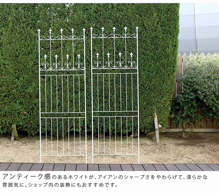 ��������ե��� ������ɥ���ȡ��ե���220 �ϥ������� 2���� �ۥ磻�� OC001H-2P-WHT ���̳�ƻ��3000��