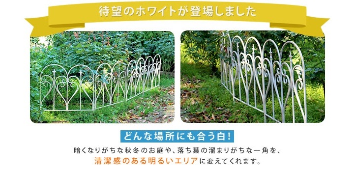 ե ե˥ ֥å 61.5 ⤵79cm 6 (IPN-7293-6P)  ̳ƻ3000
