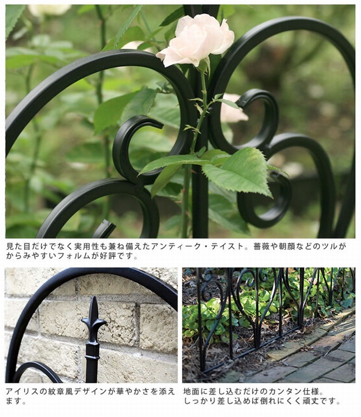 ե ե˥ ۥ磻 61.5 ⤵79cm 6 (IPN-7293-6P-WHT)  ̳ƻ3000