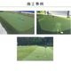 ͹ Ǿ14mm 210m  Japan Turf PG-14