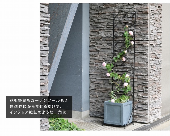 ��ƥ��� �ե��� �ץ�󥿡����եե��� ����ॿ���� ���������� �֥�å� (IF-FP017BLK) ���̳�ƻ��3000��