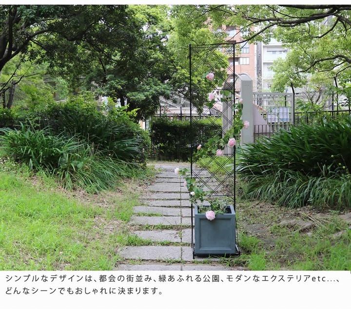 ��ƥ��� �ե��� �ץ�󥿡����եե��� ����ॿ���� ���������� �֥�å� (IF-FP017BLK) ���̳�ƻ��3000��