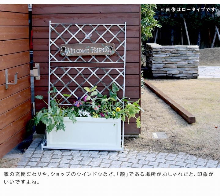 ��ƥ��� �ե��� �ץ�󥿡����եե��� ����ॿ���� ���������� �ۥ磻�� (IF-FP017WHT) ���̳�ƻ��3000��