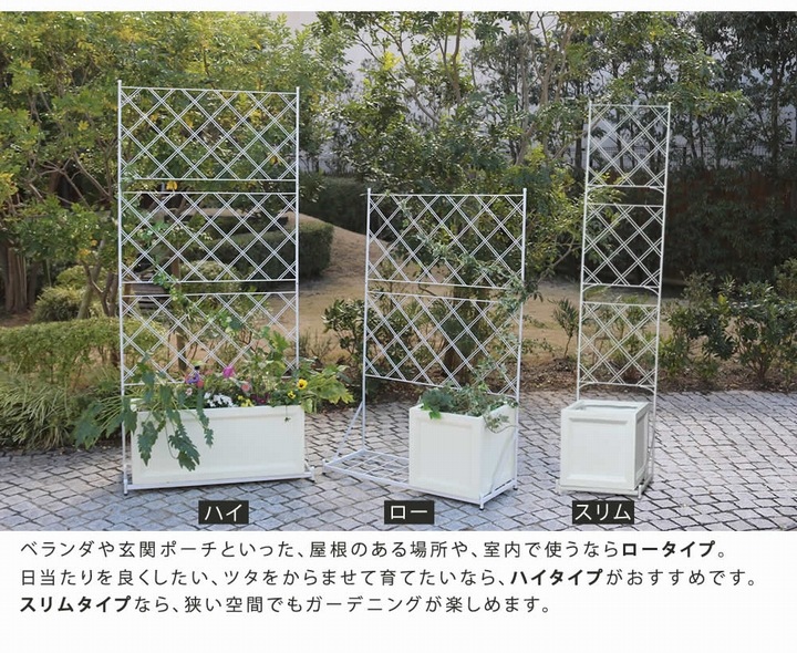 ��ƥ��� �ե��� �ץ�󥿡����եե��� ����ॿ���� ���������� �ۥ磻�� (IF-FP017WHT) ���̳�ƻ��3000��