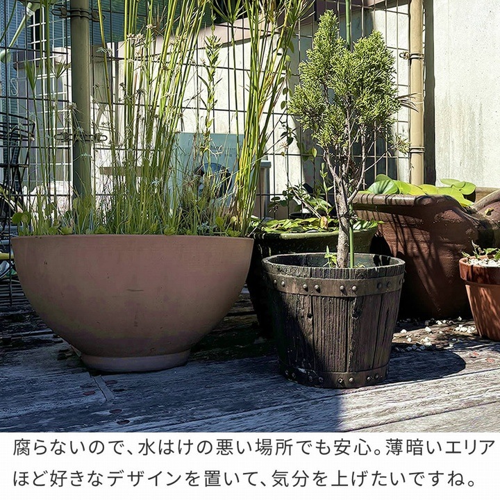ץ󥿡 î 8 ľ24cm (EBP-24DBR) FRPХ뷿ץ󥿡 ̳ƻ졦ΥԲ