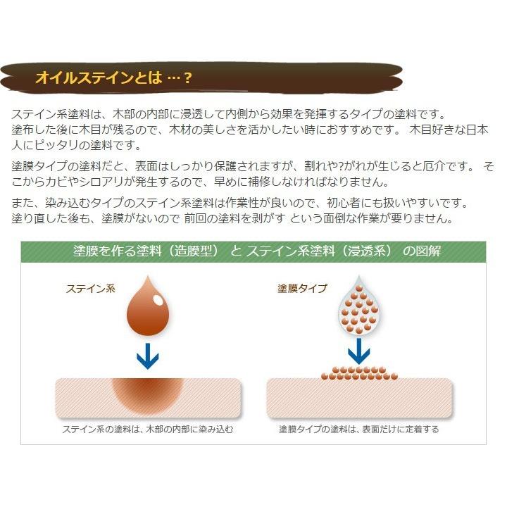 [10̥å] ں ݸ åɥƥץ 16L    ̳ƻ졦ΥӸ [Ϥˡ͸]