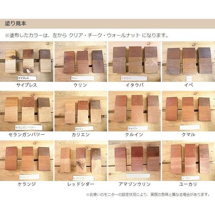 [10̥å] ں ݸ åɥƥץ 16L    ̳ƻ졦ΥӸ [Ϥˡ͸]