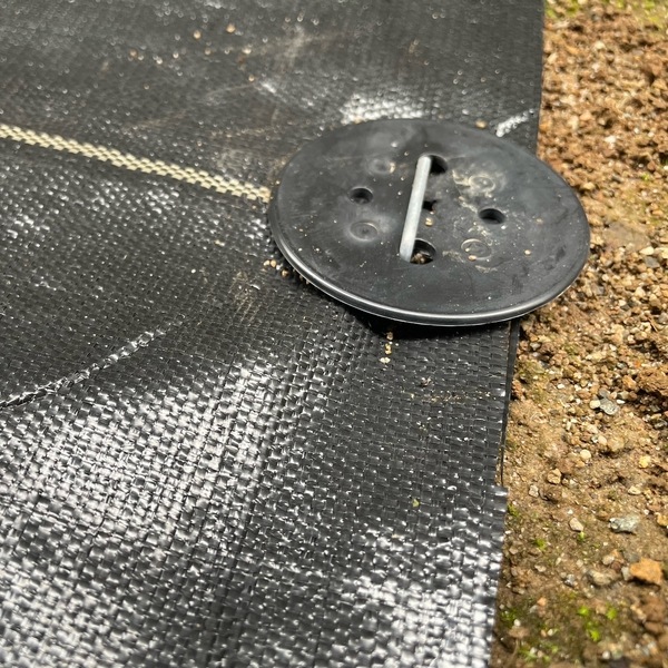 ȸԥ󥻥å10ܥå ʲå㡼ա