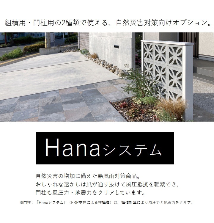 ���ѥ֥��å� Hana�����ƥ� �ϥʥ꡼�� ����12cm ��ˡ�͸���ۡڴ������ۡ��������ѡ�