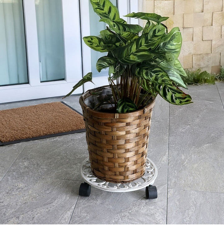 �����������ץ�󥿡�������ɥ��㥹������ 28cm deacor �ǡ����� ������ơ����֥�å� (IF-N0036BLK) ���̳�ƻ�����졦Υ�������Բ�