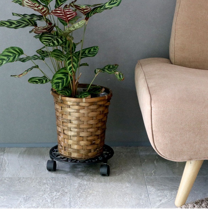 �����������ץ�󥿡�������ɥ��㥹������ 28cm deacor �ǡ����� ������ơ����֥�å� (IF-N0036BLK) ���̳�ƻ�����졦Υ�������Բ�