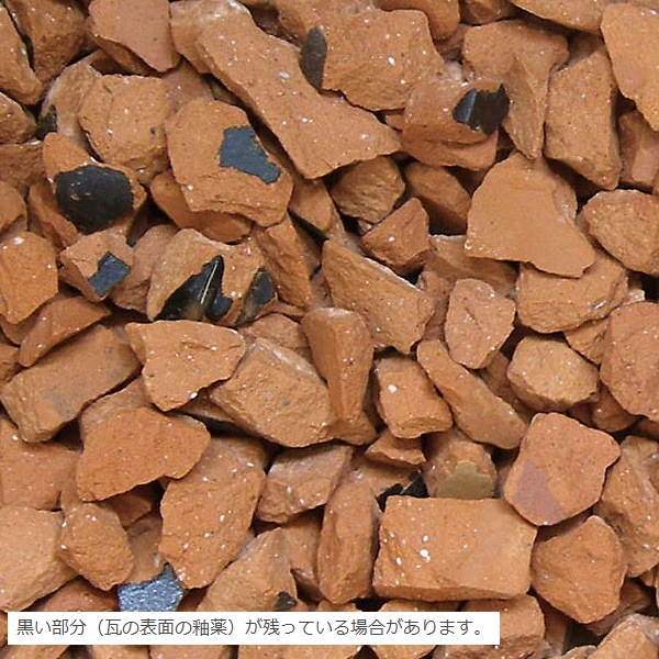 �������ä��ޥ���󥰺� ���饯������å� ��å� 10kg �����ɥ��С� �����å� �ڴ�����ꡦΥ���Բġۡ��������ѡ�