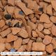 �������ä��ޥ���󥰺� ���饯������å� ��å� 10kg �����ɥ��С� �����å� �ڴ�����ꡦΥ���Բġۡ��������ѡ�
