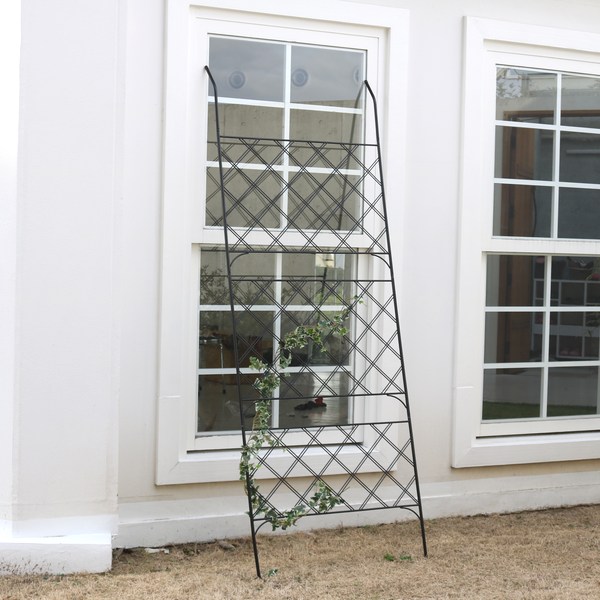 ���꡼��ե��� �֥�å� ��80cm �������������꡼�󥫡��ƥ� ���������� IF-GC011BLK ���̳�ƻ��3000��