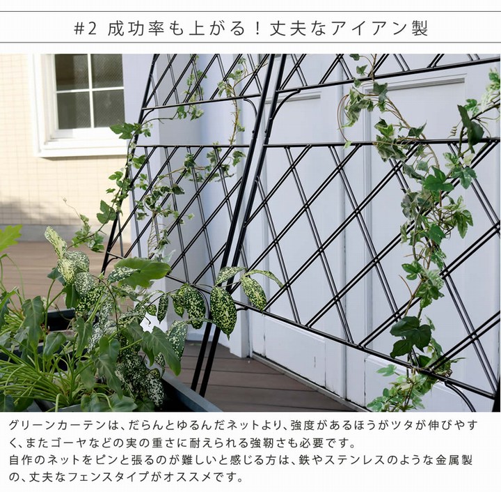 ���꡼��ե��� �֥�å� ��80cm �������������꡼�󥫡��ƥ� ���������� IF-GC011BLK ���̳�ƻ��3000��