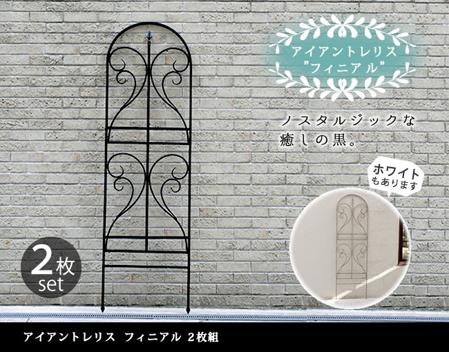 ��������ե��� ��54.5cm 2���� �֥�å� (IF-FN7950-2P-BLK) �ϥ������� �ե��˥��� �� �ȥ�ꥹ ���᡼�����߸˸¤� ���̳�ƻ��3000��