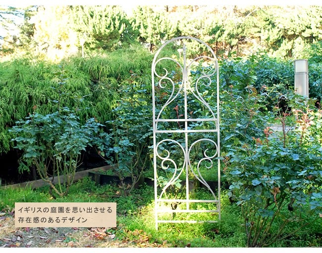 ��������ե��� ��54.5cm 2���� �֥�å� (IF-FN7950-2P-BLK) �ϥ������� �ե��˥��� �� �ȥ�ꥹ ���᡼�����߸˸¤� ���̳�ƻ��3000��