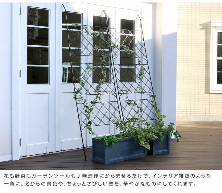 ���꡼��ե��� �֥�å� ��80cm 2���� �������� ���������� IFGC011-2P-BLK ���̳�ƻ��3000��