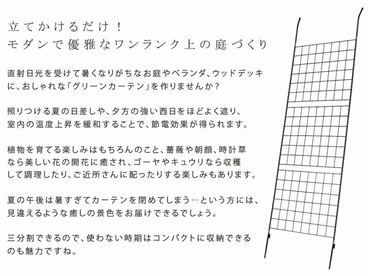 ���꡼��ե��� ��80cm �������������꡼�󥫡��ƥ� ����� IF-GC014SLV ���̳�ƻ��3000��