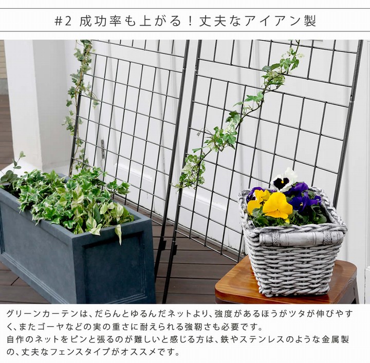 ���꡼��ե��� ��80cm �������������꡼�󥫡��ƥ� ����� IF-GC014SLV ���̳�ƻ��3000��