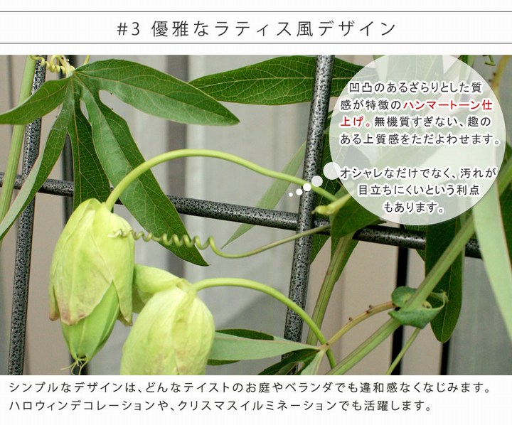 ���꡼��ե��� ��80cm �������������꡼�󥫡��ƥ� ����� IF-GC014SLV ���̳�ƻ��3000��