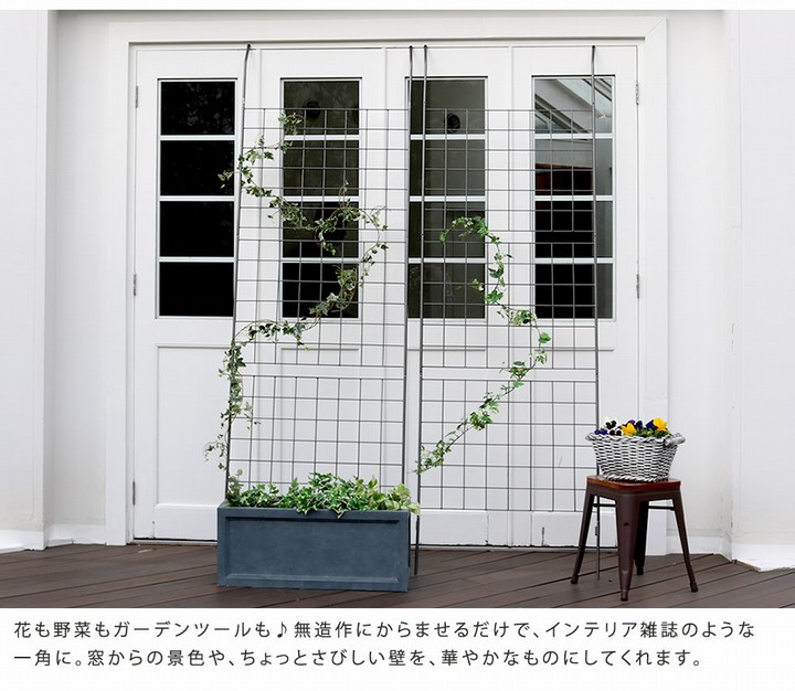 ���꡼��ե��� ��80cm �������������꡼�󥫡��ƥ� ����� IF-GC014SLV ���̳�ƻ��3000��