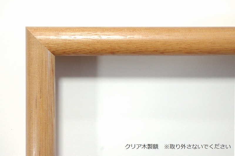 ステンドグラス 壁掛け 松 フレーム：クリア (SH-PR02) 幅524×高さ