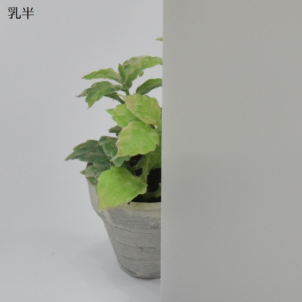 ڥե꡼åȡ ɽʤϺʤǤ ݥꥫܥ͡ ʿ 3mm Ⱦ ڤ UVå 糰 ξѸ ꥹ