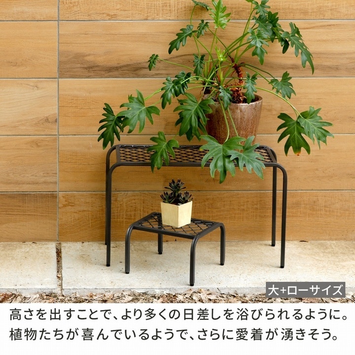 ��������ץ�󥿡�������ɡ�TWILL��(�ĥ���) �ϥ���������2���� ���졼 (TW009-2P-GRY) ���̳�ƻ�����졦Υ�������Բ�