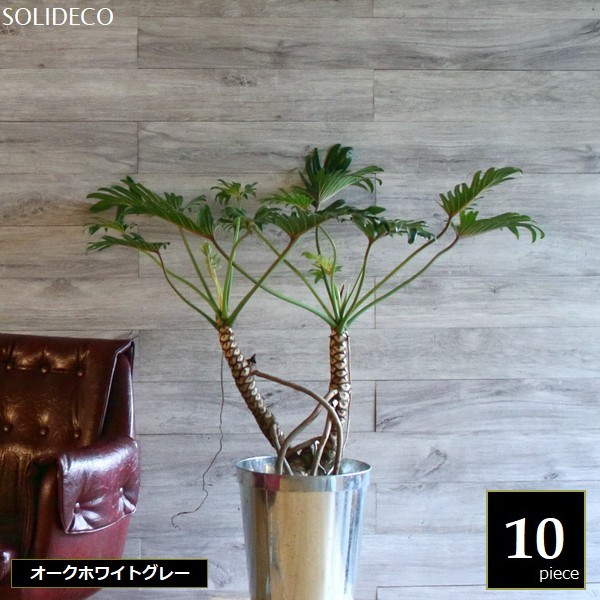 ɺ ŷڥѥͥ ۥ磻ȥ졼 10ȡ1.5ʿ) SOLIDECO SLDCPR-10P-006GRY  ̳ƻ3000