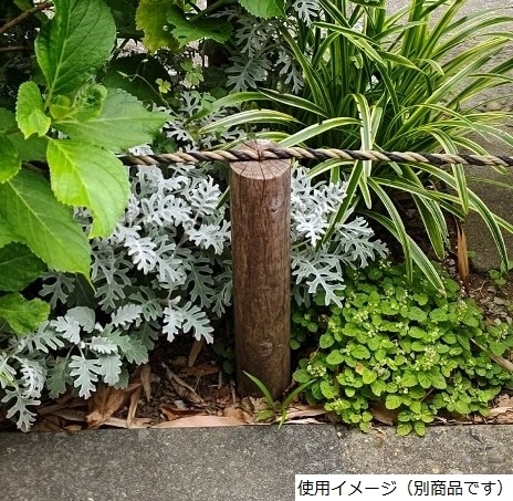 杉 桧 丸太杭 Φ65(タナリスCY防腐加工）65×65×900mm（2.7kg