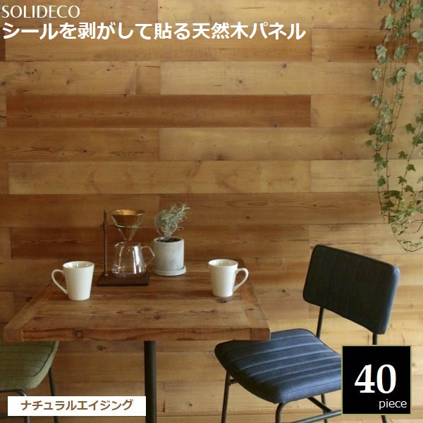 �ɺ� ŷ���ڥѥͥ� �ʥ����륨������ 40���ȡ���6ʿ��) SOLIDECO SLDC-40P-002AGE  ���̳�ƻ��1500��