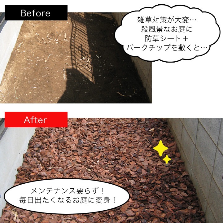 �ѥ���С������å� 50��åȥ� �ͥ����� 1�� �ʣ�ʿ��ʬ��