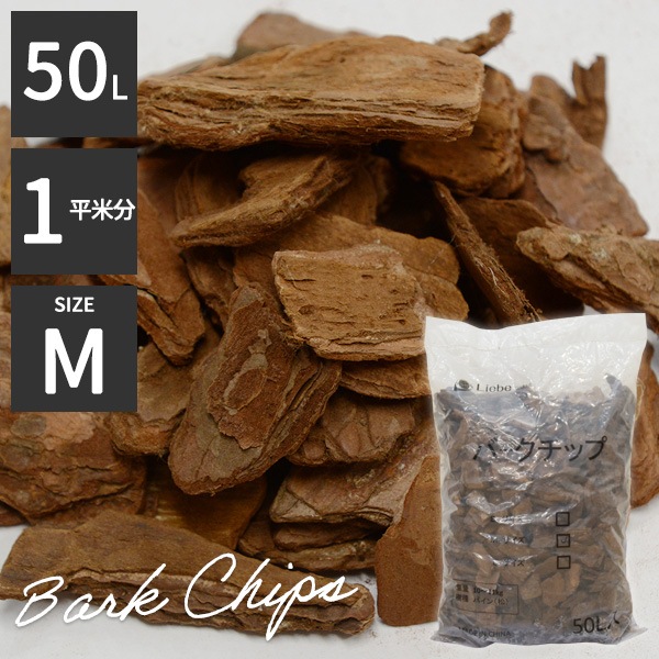 �ѥ���С������å� 50��åȥ� �ͥ����� 1�� �ʣ�ʿ��ʬ��