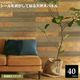�ɺ� ŷ���ڥѥͥ� ­���ĥ������� 40���ȡ���6ʿ��) SOLIDECO SLDC-40P-004ASB  ���̳�ƻ��1500��
