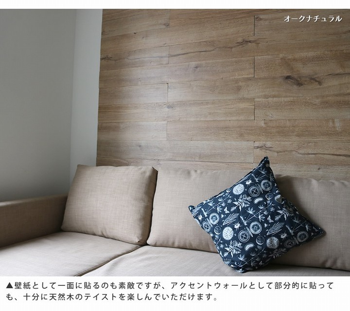 ɺ ŷڥѥͥ ʥ 40ȡ6ʿ) SOLIDECO SLDCPR-40P-005NTU  ̳ƻ3000