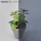 ݥꥫܥ͡ ʿ 1.8mm Ǯǥݥꥫ 졼⡼ 10002000mm UVå 糰 Ǯ ꥹ
