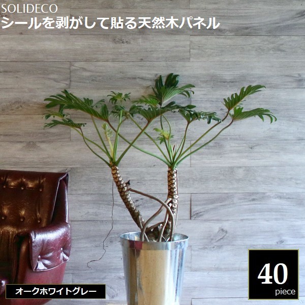 �ɺ� ŷ���ڥѥͥ� �������ۥ磻�ȥ��졼 40���ȡ���6ʿ��) SOLIDECO SLDCPR-40P-006GRY  ���̳�ƻ��1500��