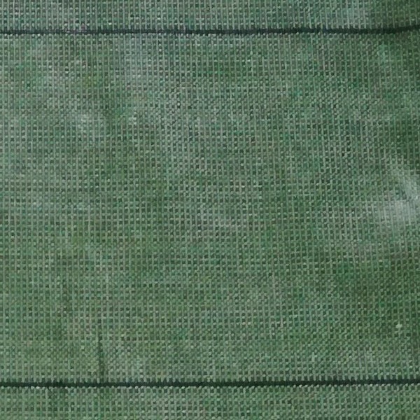 𥷡 OD ʥ꡼ 1100m ɻ ̳ƻ졦ΥӸ