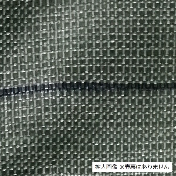 𥷡 OD ʥ꡼ 1100m ɻ ̳ƻ졦ΥӸ